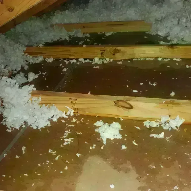 Attic Water Damage in Missouri Valley, IA