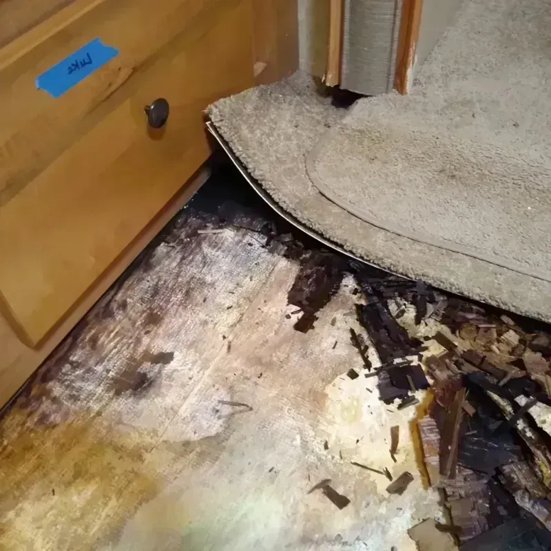 Wood Floor Water Damage in Missouri Valley, IA